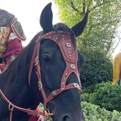 Horse-cage headings, forks, forks, horse-backing, horse-backing, horse-backing